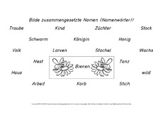 Bienenwörter-zusammengesetzte-Nomen.pdf